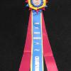 Muffin's 
ACA Champion Ribbon 