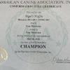 Muffin' ACA Champion Certificate

Muffin is a Havanese